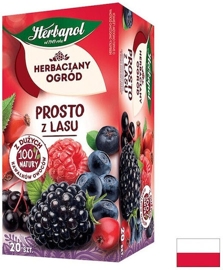 Herbapol Τσάι Fruit Tea - Forest 20 Φακελάκια