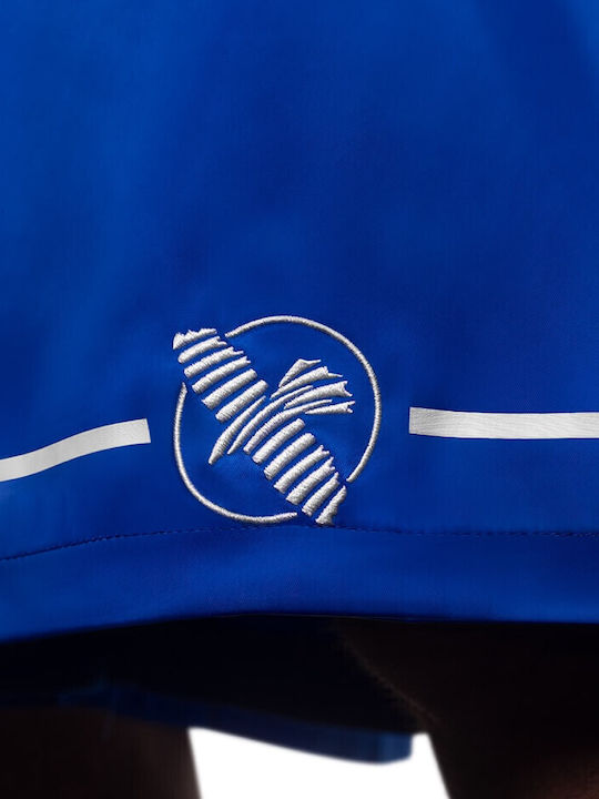 Hayabusa Pantaloni De Box Pro Albastru