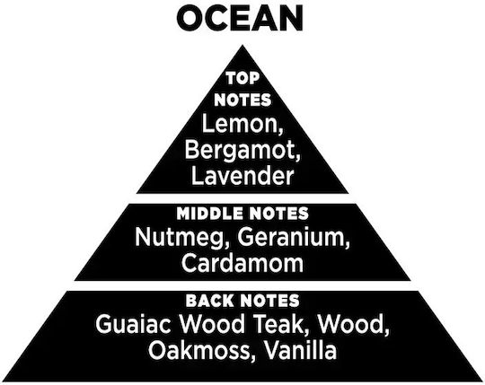 Ocean Refill 100ml Ανταλλακτικό Υγρό Reed Diffusers