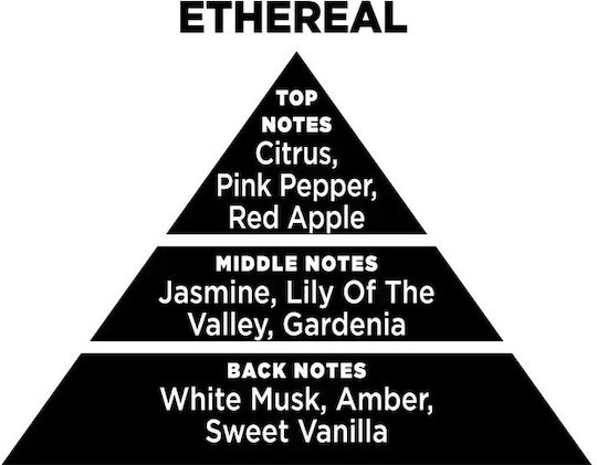 Ethereal Oud Refill 100ml Liquid Refill Reed Diffusers