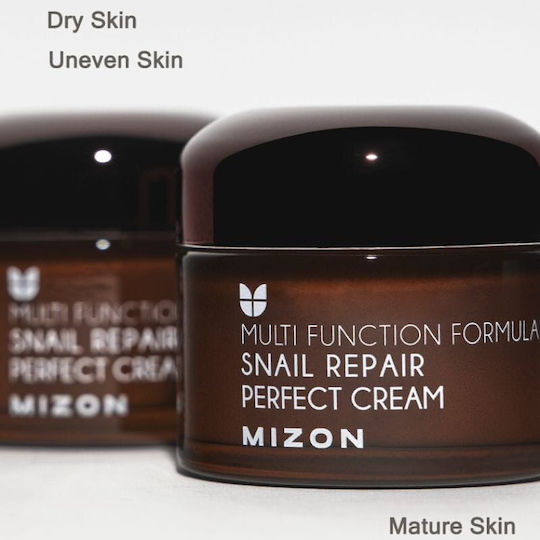 Mizon Snail Repair Perfect Cream Moisturizing Face Cream with Niacinamide & Snail Slime 50ml