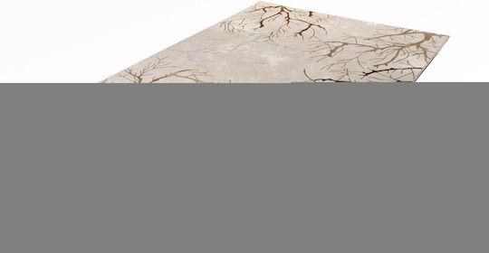 Tzikas Carpets Creation 74136-260 Килим Правоъгълена Бежов