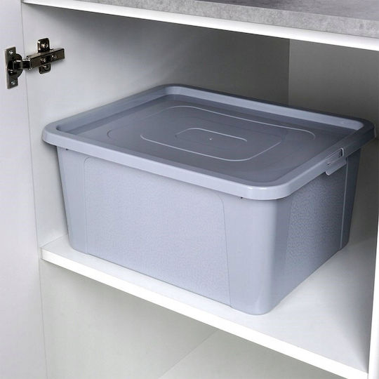 Vilde Cutie de Depozitare din Plastic cu Capac Gri 40x33x20cm