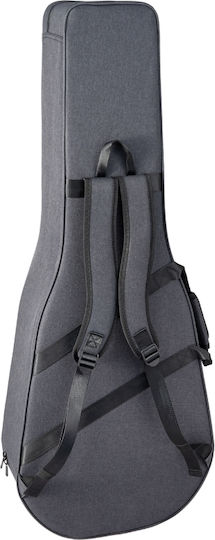 Takamine P3nc Nex Natural Satin & Soft Case