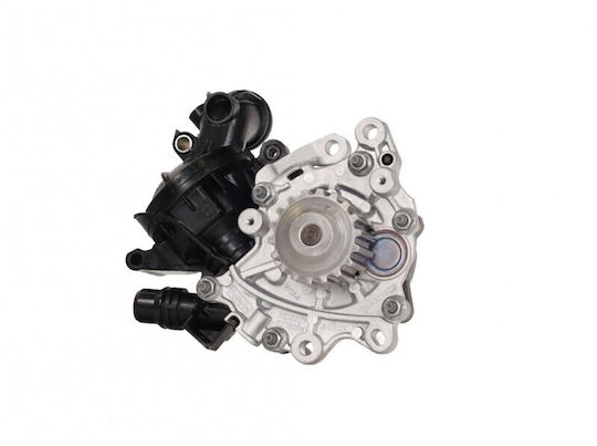 OE PSA Auto-Wasserpumpe Für Citroen Springend