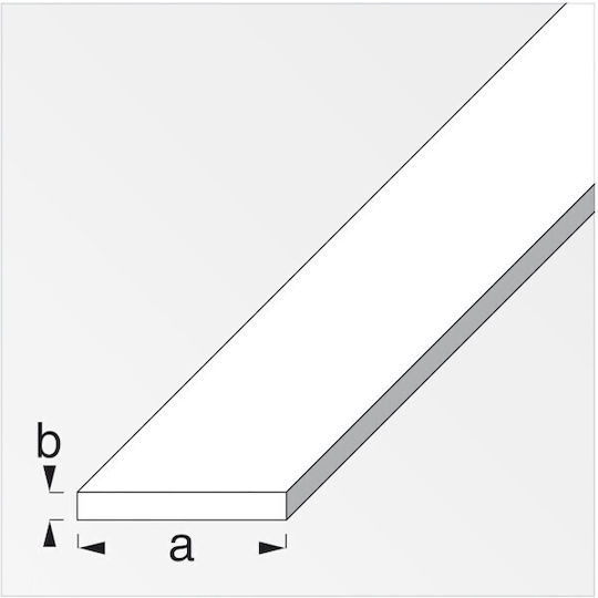 Flat Profile Aluminium Anodized 25 Mm 2 M Alfer Aluminium