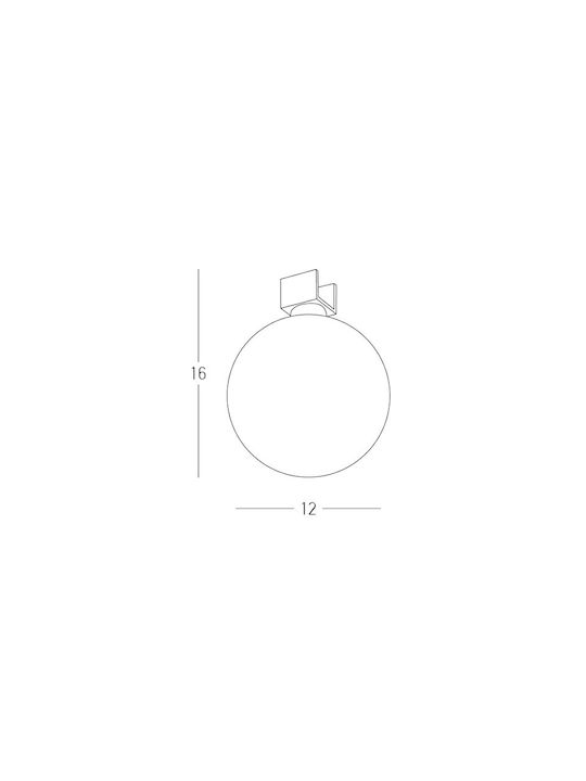 Zambelis Lights Waterproof Outdoor Ceiling Light with Integrated LED E501