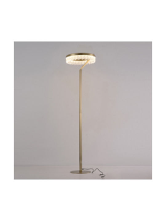 Eurolamp Arte Illumina Glory LED Floor Lamp H160xL40cm with Warm White Light 2100lm Gold