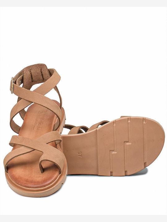 Zakro Collection