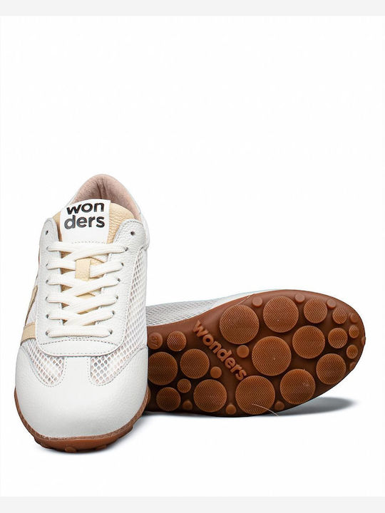 Wonders