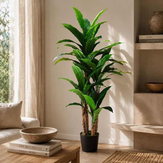 Künstliche Topfpflanze Dracaena 180cm Sds-25982