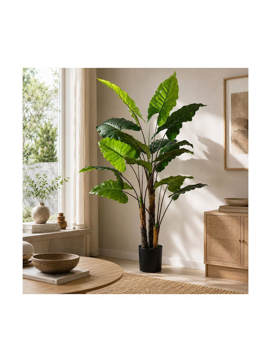Künstliche Topfpflanze Streliczia 190cm Sds-25987
