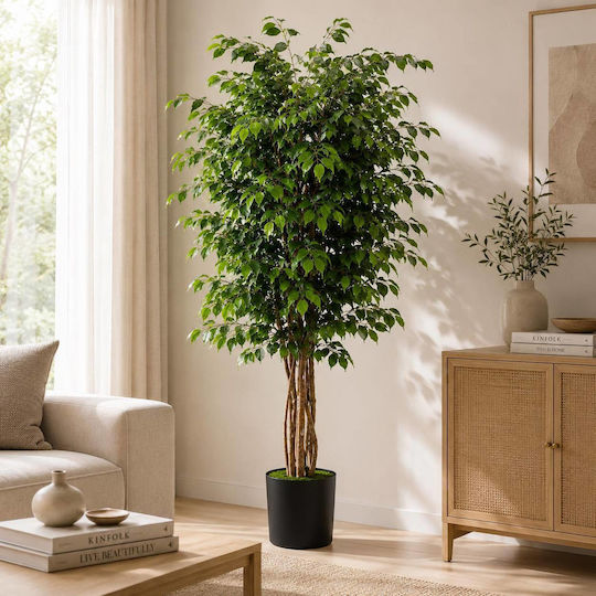 Изкуствено Растение Ficus Benjamin В Саксия 180см Sds-25988