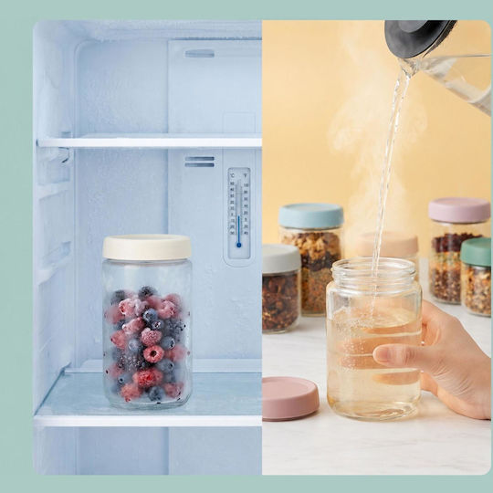 Relaxdays Glass Transparent Lunch Box 350ml