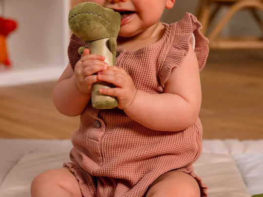 Baby to Love Cutie de amintiri