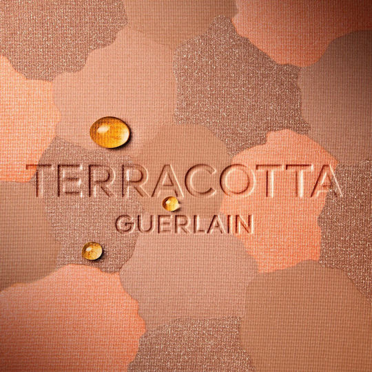 Guerlain Powder Light 10gr
