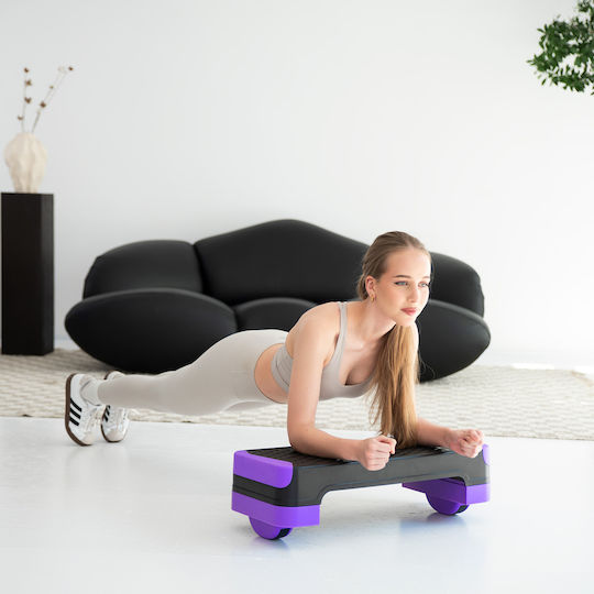 HMS Aerobic Stepper