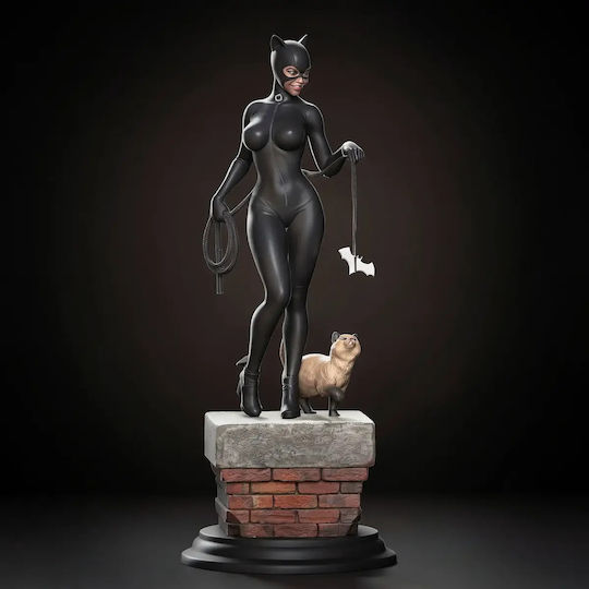 Unbemalte 3d Figur Catwoman V4 Aus DC Bemalbar Diy Geschenk Farben 20 Cm 1:8