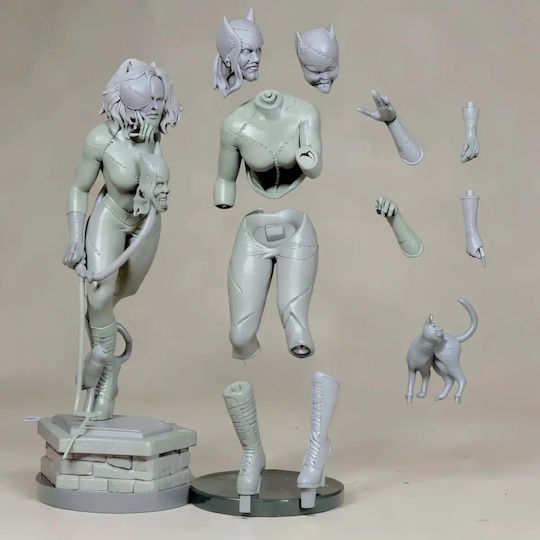 Unbemalte 3d Figur Catwoman V9 Aus Dc Bemalung Diy Geschenk Farben 30 Cm 1:6