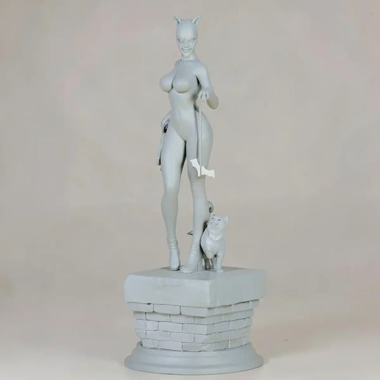Unbemalte 3d Figur Catwoman V4 Aus Dc Bemalung Diy Geschenk Farben 30 Cm 1:6