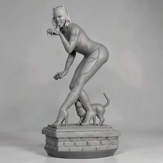 Unbemalte 3d Figur Catwoman V9 Aus Dc Bemalbar Diy Geschenk Farben 15,2 Cm 1:12