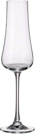 Crystal Bohemia Set Pahare De Sampanie Pahare Cu Picior Din Cristal 6 Bucăți Crystal Bohemia Set Pahare De Sampanie Pahare Cu Picior Din Cristal 6 Bucăți