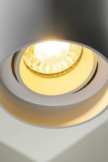 Gtv Spot in White Colour