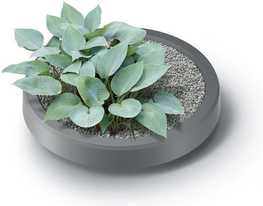 Topfplatten Grau