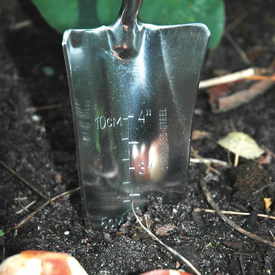 Garden Trowel Wooden Handle