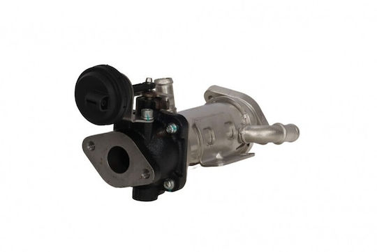 EGR Kühler Austausch Renault Trafic 01 8200953620