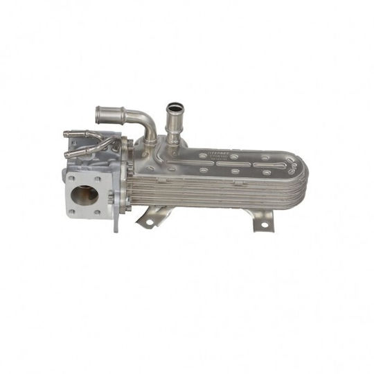 Fast Egr Motor Kühler für Volkswagen Touran I 03 038131512h