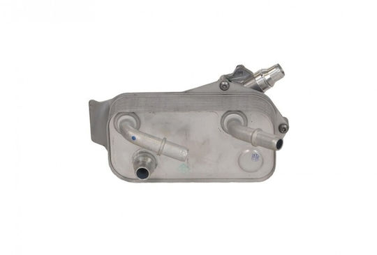 Fast Auto-Kühlschrank Motor Bmw Serie 3 E90 04 17217529499