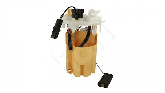 Elektrische Kraftstoffpumpe C3 207 05 /ca 1525gw