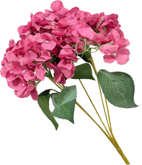 SteweHome Hortensie Set 1 Stück 5 Zweige Getrocknete Blätter Mehrfarbig Mehrfarbig