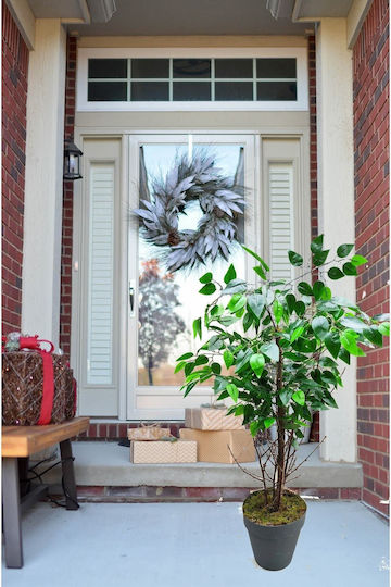 Stewehome Single-Stem Shrub Natural-Looking Tree Green Leaves Green