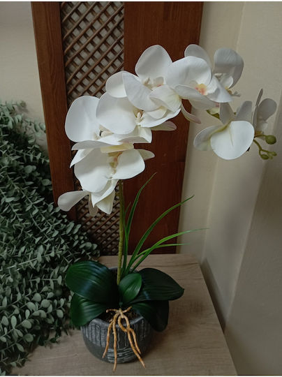 SteweHome Dekorative Künstliche Orchidee Moderne Quadratische Zementbehälter Tischgebrauch Schwarz
