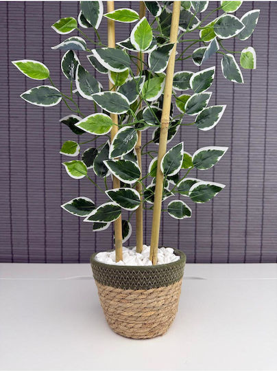 Stewehome Decorative Benjamin Tree Woven Straw Pot Cotton Fabric 3 Trunks Green 16x12x8 Cm
