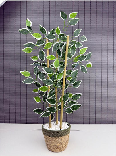Stewehome Decorative Benjamin Tree Woven Straw Pot Cotton Fabric 3 Trunks Green 16x12x8 Cm