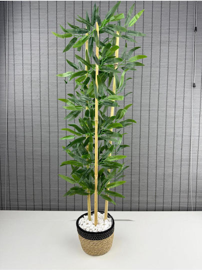 Stewehome Decorative Wicker Bamboo Tree Artificial Leaves Wicker Sea Grass Black Cotton Pot 3 Trunks Black 16x12x81 Cm Stewehome Decorative Wicker Bamboo Tree Artificial Leaves Wicker Sea Grass Black Cotton Pot 3 Trunks Black 16x12x81 Cm