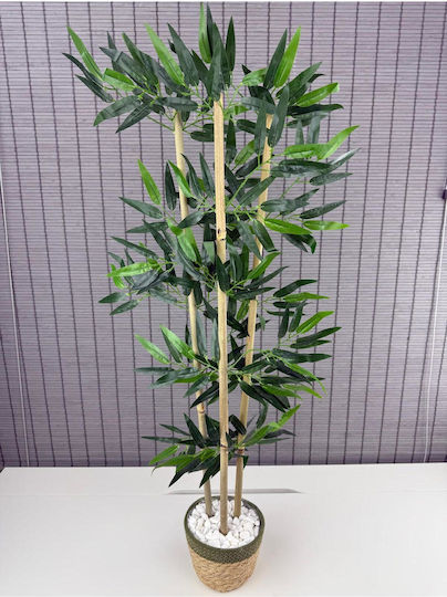 SteweHome Dekoratives Bambusbaum Korb aus Seegras Baumwollkorb 3 Stämme Grüne 16x12x81 cm