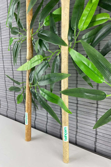 Stewehome Dekoratives Bambus Set aus 5 Stück Getrocknete Blätter Weiß 8 Cm · Ste-050697-p50697