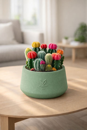 Stewehome Decorative Concrete Pot Cactus Succulent Bonsai Green 15x10 Cm