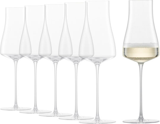 Schott Zwiesel Set Pahare De Sampanie Cu Picior Din Cristal Gri 312ml 6 Bucăți
