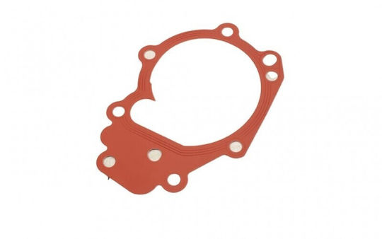 Σετ Ιμάντα Χρονισμού Αντλία Νερού Renault Kangoo I 97 1.0-1.2 119a01820r