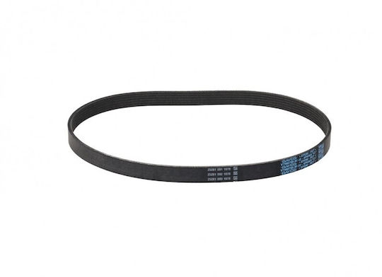 Curea Micro-v Citroen Berlingo 08 6pk905s 1678169580