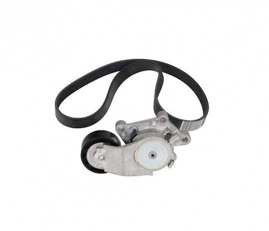 OE PSA Micro-v Gürtel Ford Transit Connect 2013 Spannrollen 1.6 Tdci 1611277680
