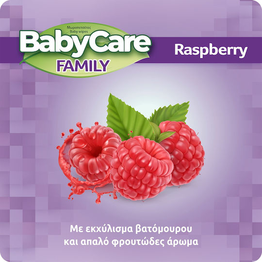 BabyCare Baby Wipes BabyCare Family Raspberry Monthly Box 12X90 pcs