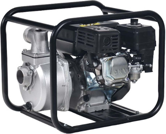 Kraft Gasoline Surface Pump