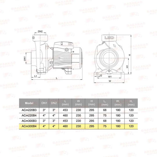 Leo Group AC300B4 Electric Surface Water Pump Centrifugal 4hp Three-Phase