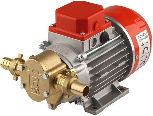 Rover Pompe Transferpumpe mit Düse 3/4" 24V